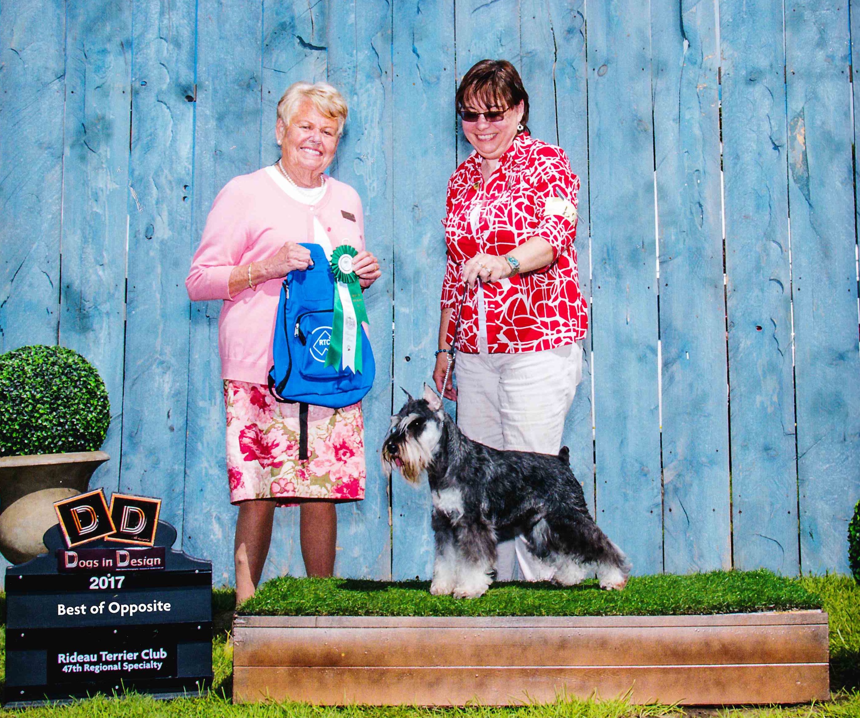 Our King wins Best of Opposite at Rideau Terrier Specialty!